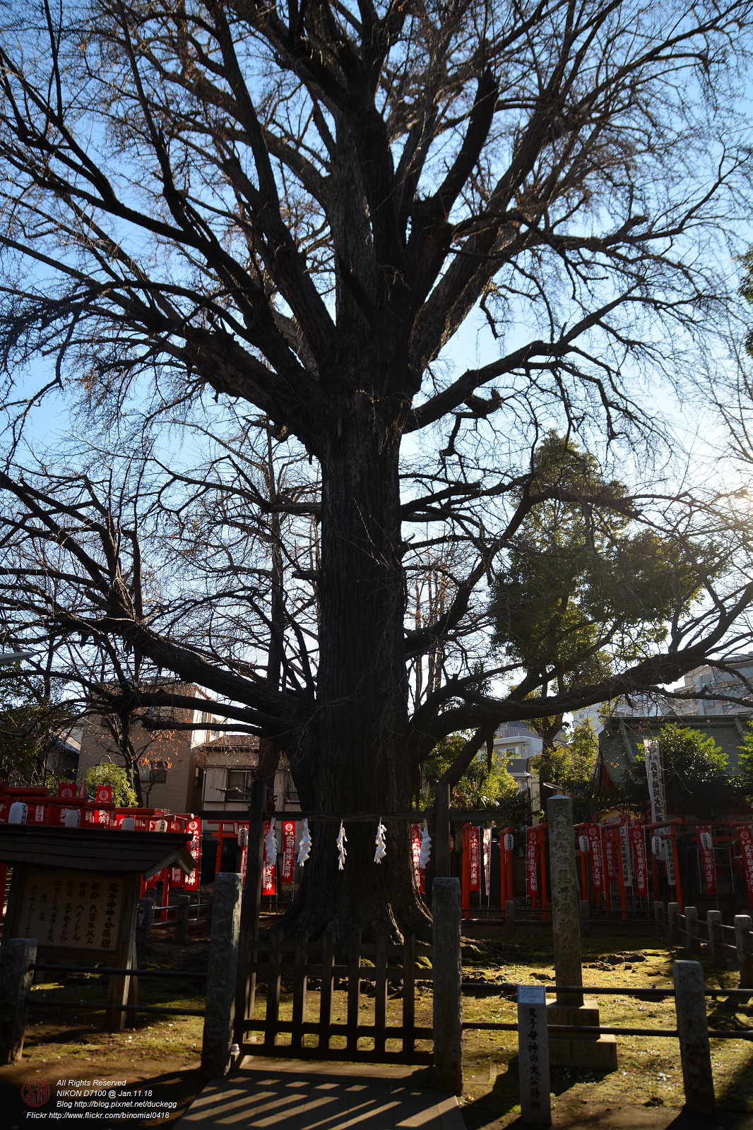 20180111130239_NIKON D7100.jpg